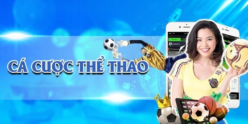 Đôi nét về sảnh cược thể thao nhà cái Net88