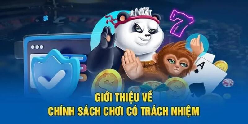 Giải mã trách nhiệm người chơi tại hệ thống Net88 là gì?
